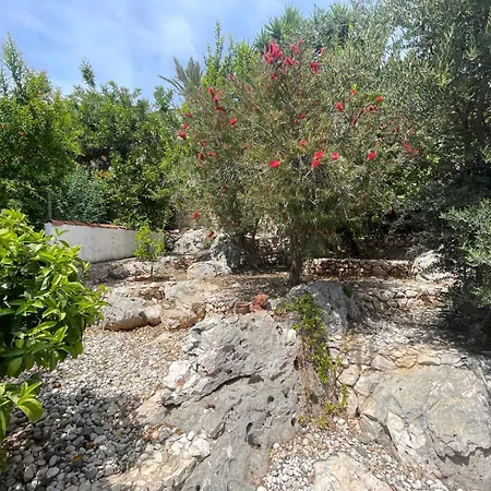 Monix Homes-villa Magic Garden Vila